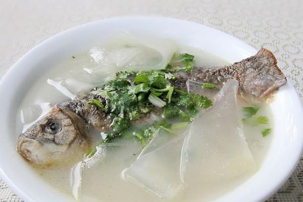 粉皮鲫鱼汤
