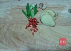 香辣石鲟的做法图解2