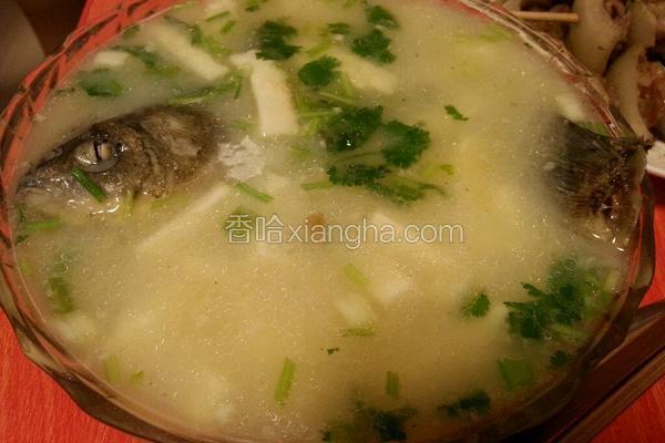 鯽魚豆腐湯