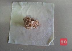 鲜蘑猪肉馄饨的做法图解11