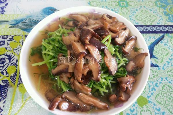 香菇豆苗