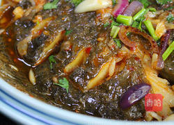 干锅多宝鱼的做法图解15