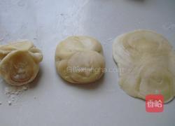 菊花酥的做法图解6