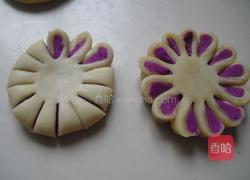 菊花酥的做法图解9
