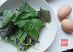 紫苏炒鸡蛋的做法图解1