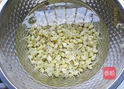 黄豆芽炒榨菜的做法图解3