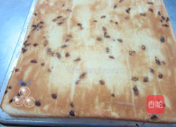 蓝莓椰丝卷的做法图解6