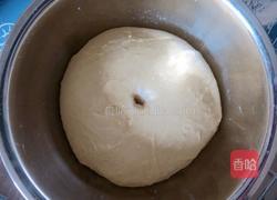 橙汁甜甜圈的做法图解6
