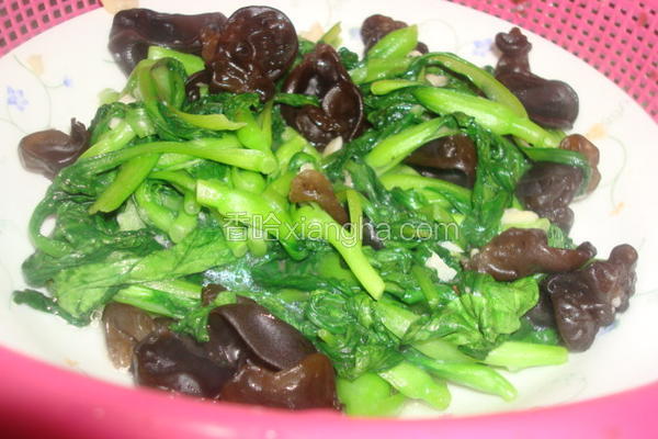 黑木耳炒鸡毛菜