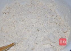 牛肉洋葱烧卖的做法图解1