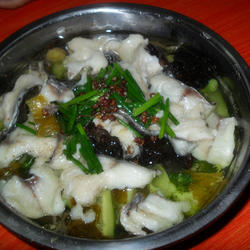 酸菜鱼的做法[图]