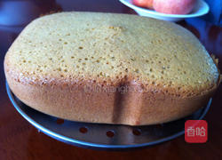 全麦海绵蛋糕的做法图解12
