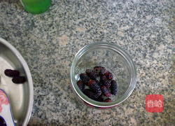 桑葚酒的做法图解5