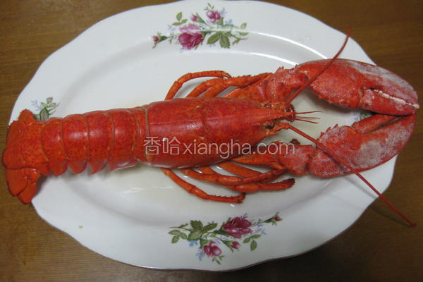 清蒸大龙虾