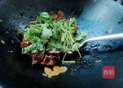 蚝油香菜鸡的做法图解9