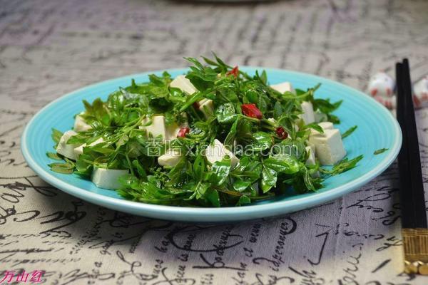 花椒芽拌豆腐