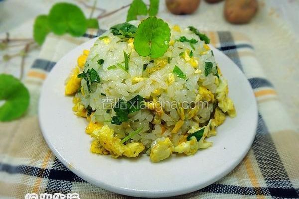 马蹄草鸡蛋饭