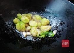 蚝油小包菜的做法图解6
