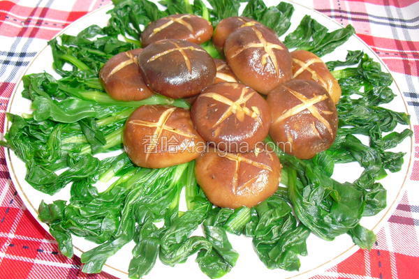 香菇油菜