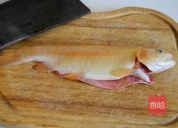 红烧虹鳟鱼的做法图解1