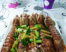 盐水虾蛄[图]