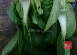 耗油油菜的做法图解2