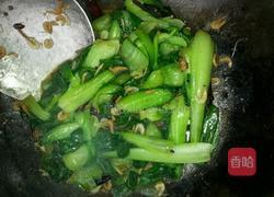 虾米油菜的做法图解6