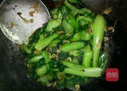 虾米油菜的做法图解7