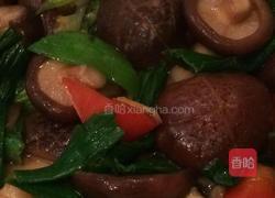 蚝油香菇的做法图解6