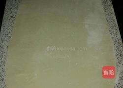 素混沌的做法图解5