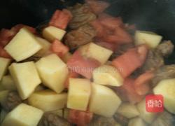 西红柿牛腩的做法图解6