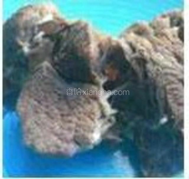 把牛肉捞出晾凉，撕成细条，放在网篮里面拿到外面风干。
