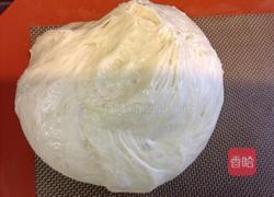 芡欧鼠尾草的做法图解13