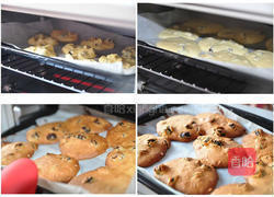 酒酿葡萄乳酸饼干的做法图解4
