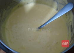 手作芒果冰淇淋的做法图解5