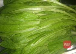 蒜拌A菜的做法图解1
