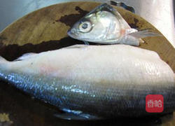 虱目鱼肚的做法图解2