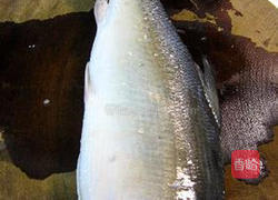 虱目鱼肚的做法图解3