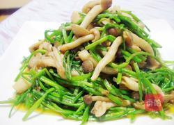 沙茶水莲海鲜菇的做法图解7