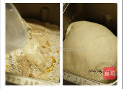 牛至香蒜小餐包的做法图解2