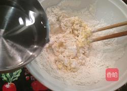 起司鲜虾杂菜锅饼的做法图解4