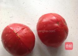 番茄果酱的做法图解1