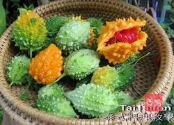 山苦瓜煮的做法图解1