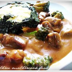 豆浆烩牛肉的做法[图]