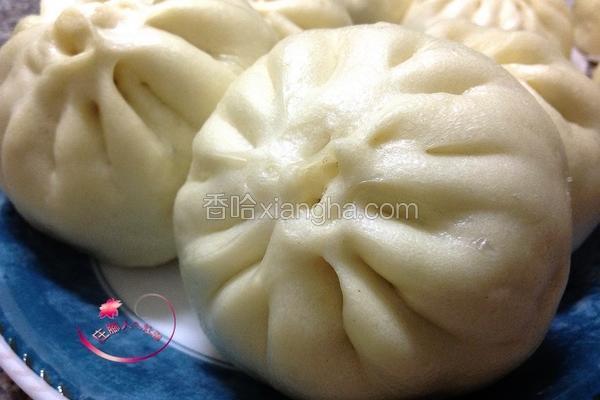 高丽菜肉包