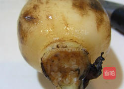 冰糖莲藕红枣汤的做法图解1