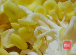 珊瑚菇炒蛋的做法图解1