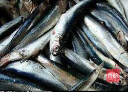 香煎鳀鱼的做法图解1