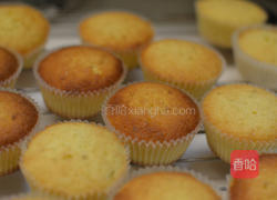 柠檬乳酪杯子蛋糕的做法图解8