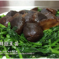 鲜菇豆苗的做法[图]